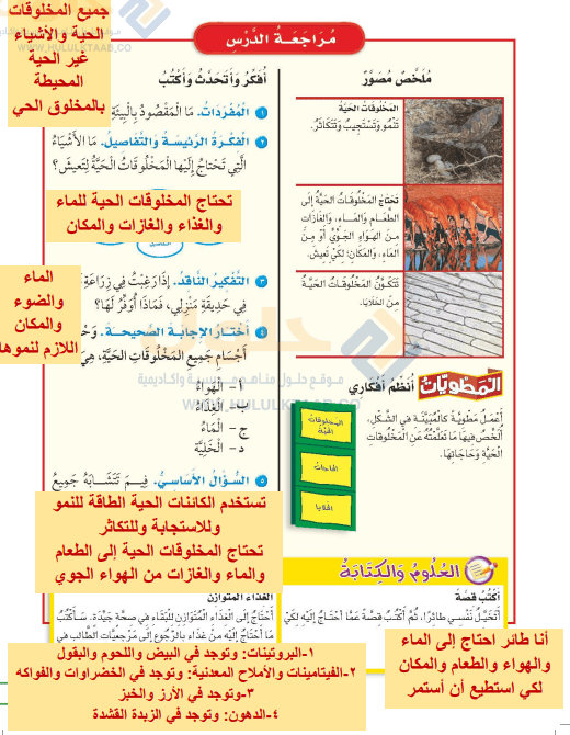 حل كتاب العلوم ثالث ابتدائي الفصل الدراسي الاول ف1